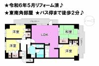 松山市三番町１丁目 ライオンズマンション三番町 の間取り