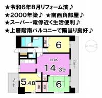 松山市味酒町３丁目 ダイアパレス古町弐番館 の間取り