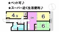 松山市祝谷町１丁目 チュリス道後 の間取り