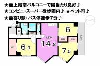 松山市祝谷町１丁目 チュリス道後 の間取り