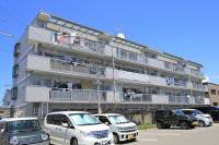 愛媛県松山市東長戸１丁目2-13愛媛県松山市東長戸１丁目2-13 3LDK マンション の外観