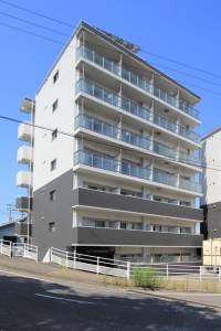 愛媛県松山市柳井町２丁目77-1 ＬＵＳＴ　ＹＡＮＡＩＭＡＣＨＩ　Ⅱ 704の外観