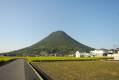 丸亀市飯山町川原375-1 丸亀市飯山町川原  物件写真9