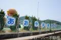 香川県綾歌郡宇多津町十楽寺 京都東山４０２棟 22 物件写真9