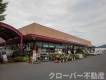 香川県三豊市高瀬町上高瀬1660番地1 メゾン　ド　ソレイユ　Ｂ  物件写真15