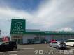 香川県仲多度郡多度津町大字南鴨518番地1 サウスドレイクマミア　Ａ 101 物件写真14