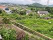 香川県高松市国分寺町福家 高松市国分寺町福家 一戸建  物件写真9