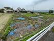 新居浜市大生院 新居浜市大生院   物件写真1