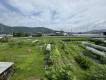 高知県土佐市高岡町乙2804 土佐市高岡町乙 一戸建  物件写真28